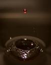 water-drop-dropping-splashing-384633.jpg