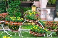 garden-flower-landscaping-thailand-721923.jpg