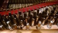 piano-inside-strings-484049.jpg