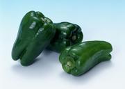 fresh-green-sweet-pepper-vegetables.jpg