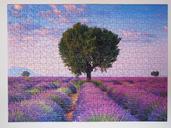 puzzle-solved-finish-592803.jpg