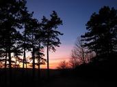 sunset-forest-abendstimmung-645843.jpg