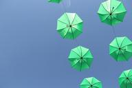 umbrella-green-sky-589528.jpg