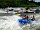 rafting-river-water-sport-902526.jpg