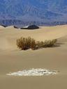 desert-dunes-sand-landscapes-386960.jpg