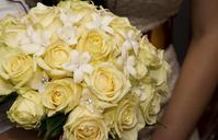 rose-yellow-bouquet-flower-floral-1022200.jpg