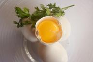 egg-egg-yolk-yellow-cracked-open-390676.jpg