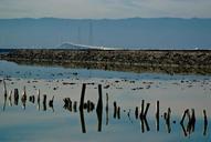 Water view at Don Edwards San Francisco bay.jpg