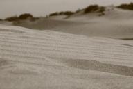 sand-desert-dune-outdoor-africa-495805.jpg