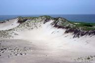 Sand dune at Monomoy national park.jpg