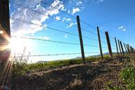 fence-farm-barbedwire-sunrise-hdr-422990.jpg