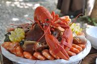 seafood-platter-crustaceans-food-1232389.jpg