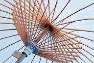 umbrella-spokes-canopy-structure-344419.jpg