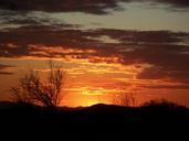 arizona-sunset-landscape-desert-771927.jpg