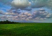 green-cloud-nature-blue-view-596982.jpg