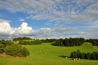 landscape-summer-trees-sky-clouds-648186.jpg