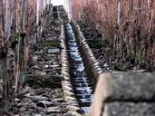 vineyard-winter-water-stairs-409296.jpg