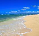 beach-paradise-tropical-ocean-1523191.jpg