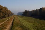 dam-flood-zone-road-trees-forest-1023472.jpg