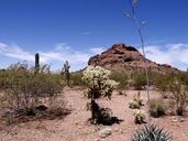 desert-arizona-usa-landscape-58515.jpg