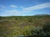 iceland-nature-landscape-139067.jpg