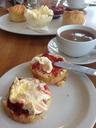 breakfast-cream-tea-jam-cream-tea-463532.jpg