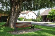 park-bench-bench-seat-tree-425392.jpg