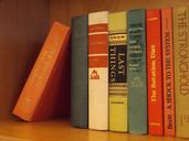 books-bookshelf-library-literature-1041553.jpg