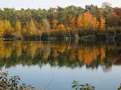 pond-mirroring-golden-october-259624.jpg