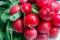 organic-radishes-freshness-diet-1331732.jpg