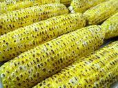 corn-grilled-corn-cob-maize-cob-142206.jpg