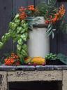 still-life-pot-mountain-ash-berries-952395.jpg