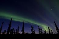 aurora-northern-lights-991498.jpg