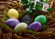 easter-eggs-egg-colored-easter-nest-703739.jpg