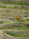 vineyards-priorat-tractor-943301.jpg