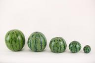 watermelon-illusion-paint-715608.jpg