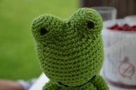 frog-crochet-nature-1715409.jpg