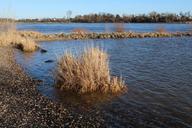 river-landscape-water-bank-nature-1131930.jpg