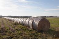 straw-bale-rolled-agriculture-hay-915560.jpg