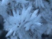 crystals-frost-winter-weather-1420620.jpg