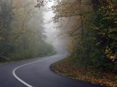 road-forest-fog-travel-autumn-564492.jpg