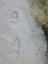 footprints-sand-tracks-in-the-sand-564676.jpg