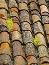 tiles-roof-cover-tiled-rooftop-972219.jpg