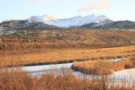 anchorage-alaska-winter-landscape-1206237.jpg