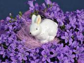 easter-hare-fig-easter-bunny-605530.jpg