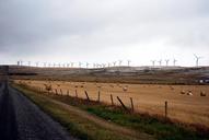 farmland-wind-turbines-wind-sky-1149830.jpg