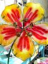 glass-flower-red-yellow-417252.jpg