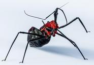 beetle-insect-arachnid-exotic-299288.jpg