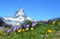 matterhorn-alpine-zermatt-mountains-1516734.jpg