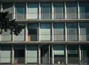 architecture-window-facade-glass-1359706.jpg